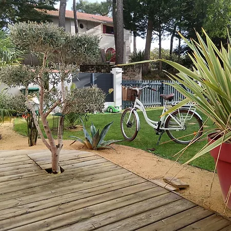 Maison Avec Jardin Clos Proche Et Commodités Hébergement de vacances *